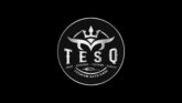 tesq logo 01